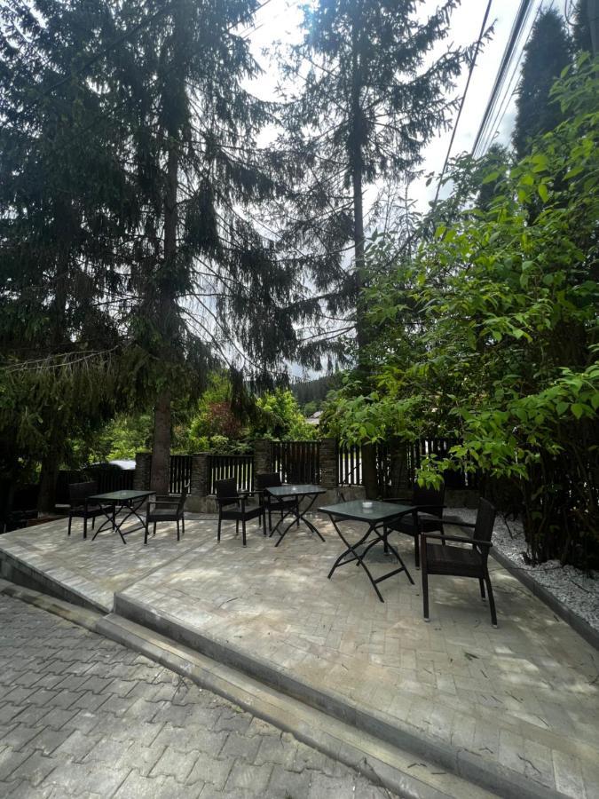 Chalet Minut Vatra Dornei Bagian luar foto